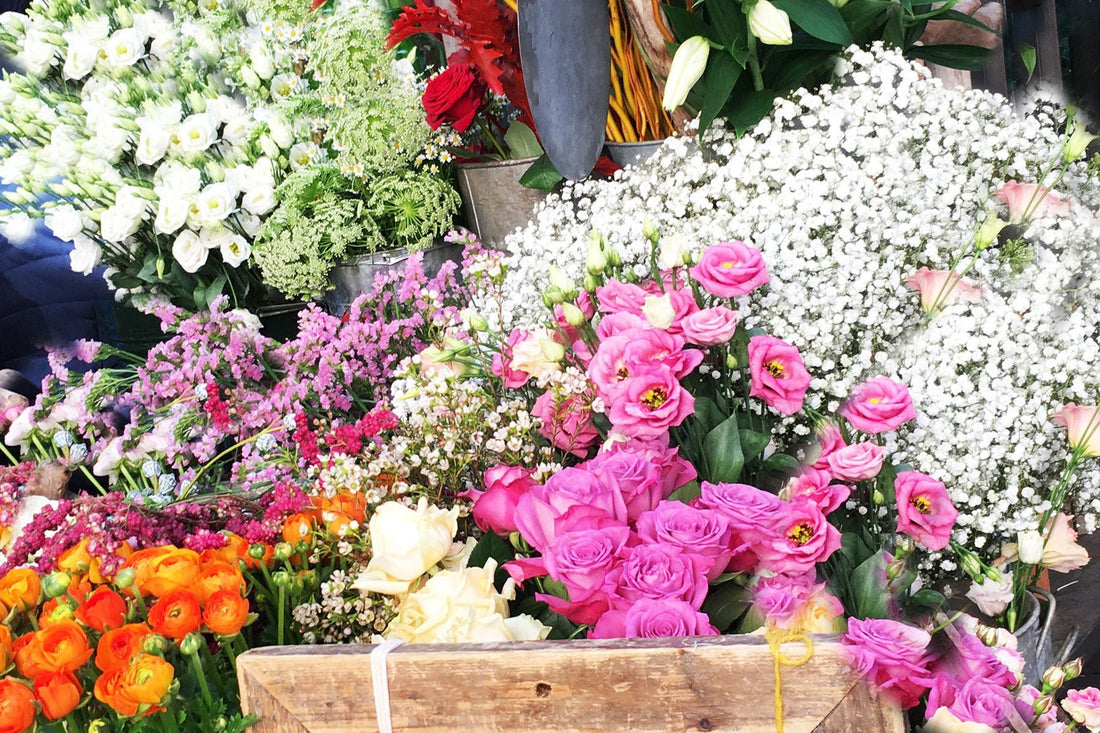 A WEEKEND IN | Toulouse, the Southern Capital of France - MY ISLAND COLLECTIVE