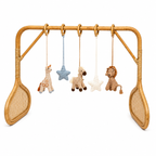 Coco Rattan Play Gym