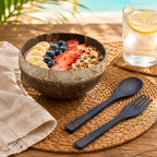 ISLANDER / COCONUT BOWL SET (1)