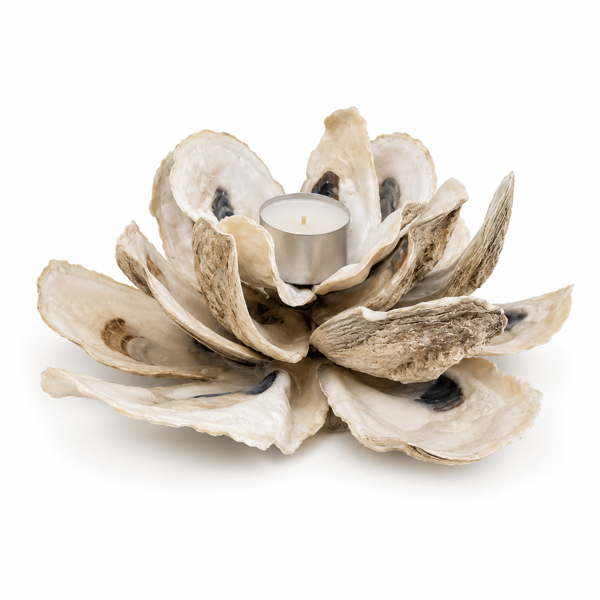 Oyster Shell Tea Light Candle Holder