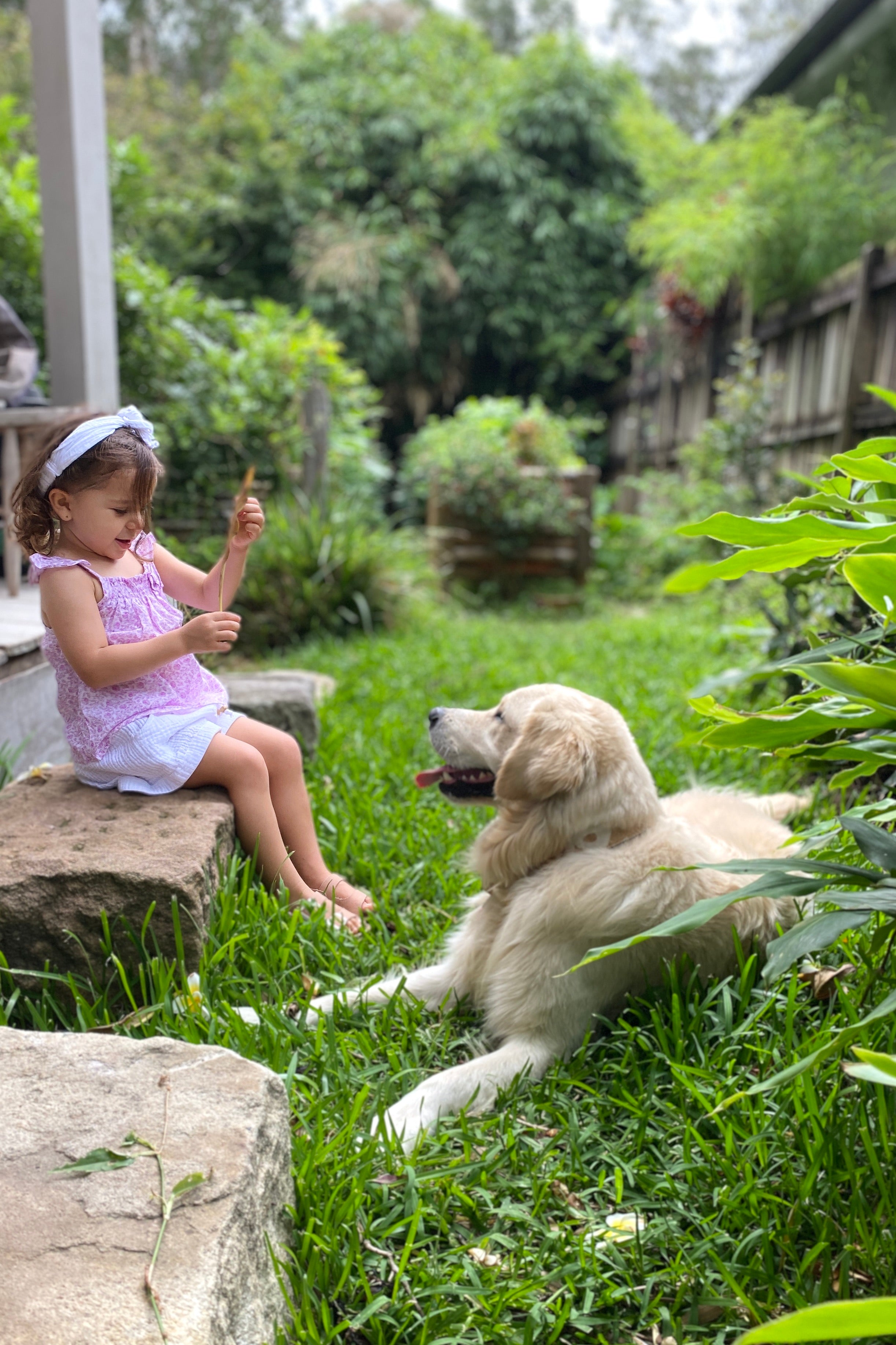 SAN ANTONIO FLUTTER SLEEVE TOP