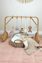 Coco Rattan Play Gym