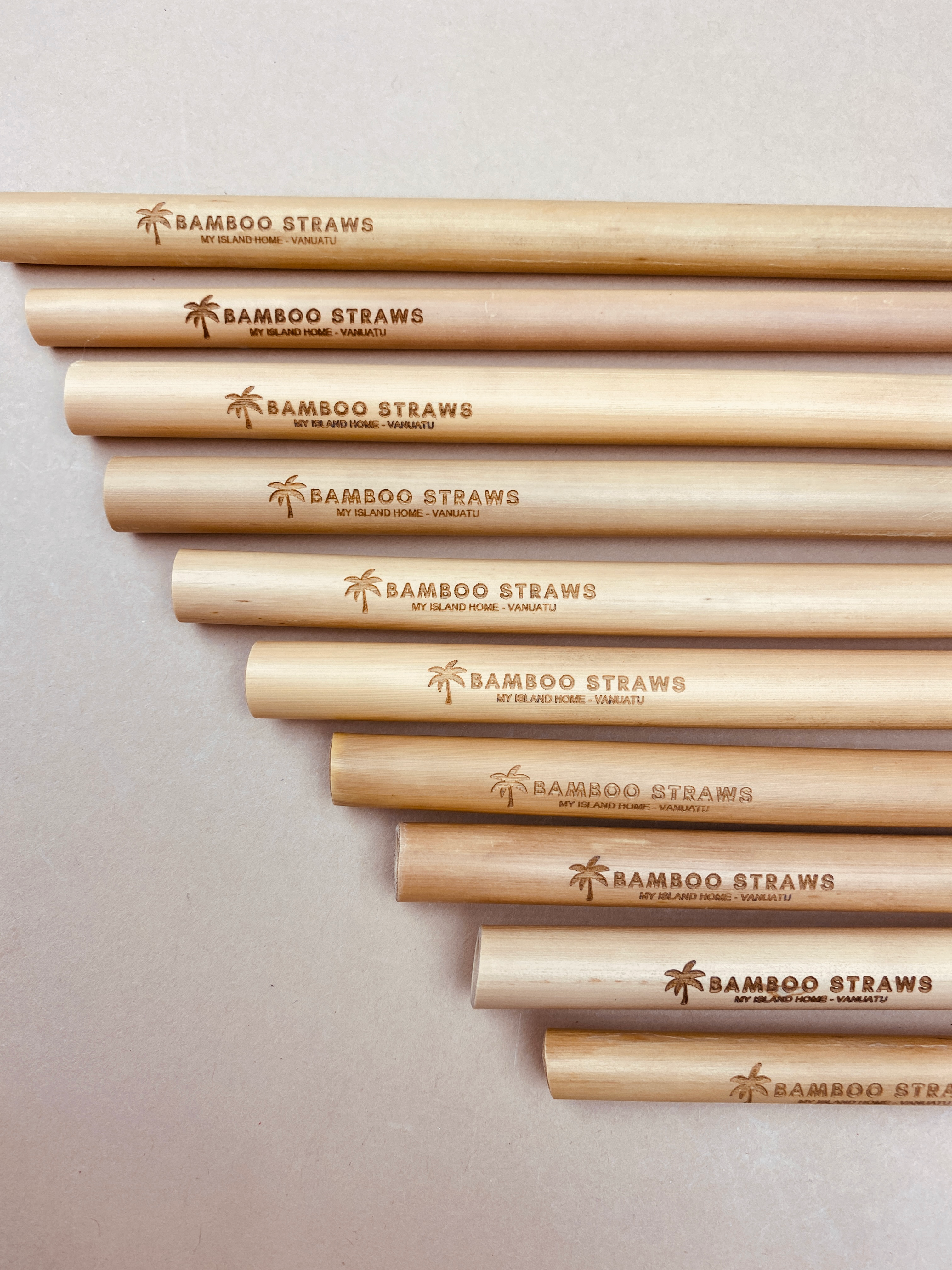 Bamboo Straws | Set of 10