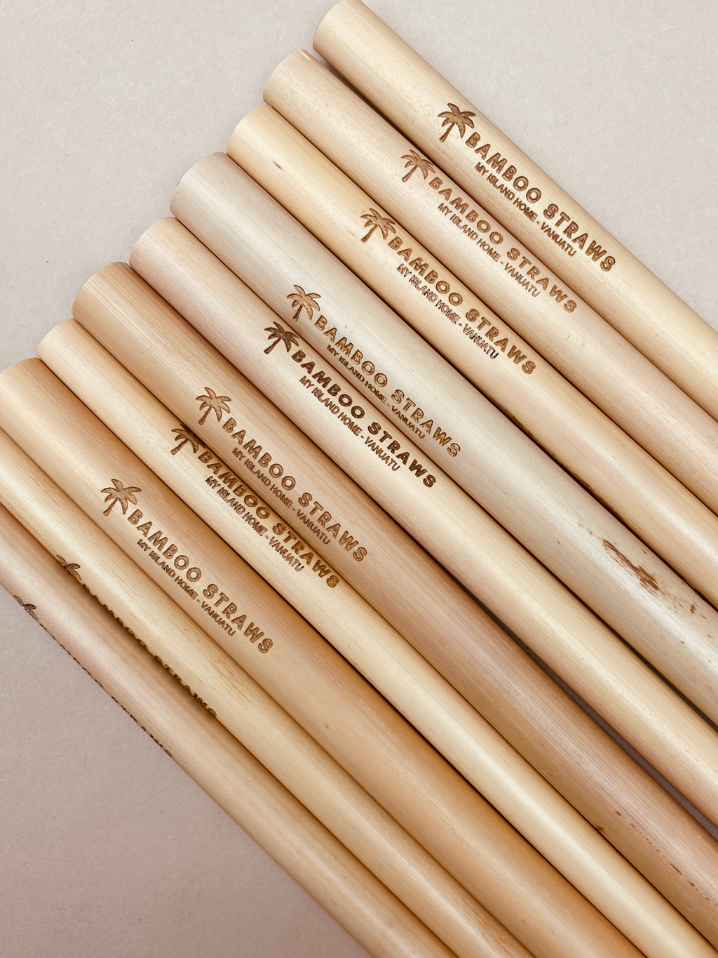 Bamboo Straws | Set of 10