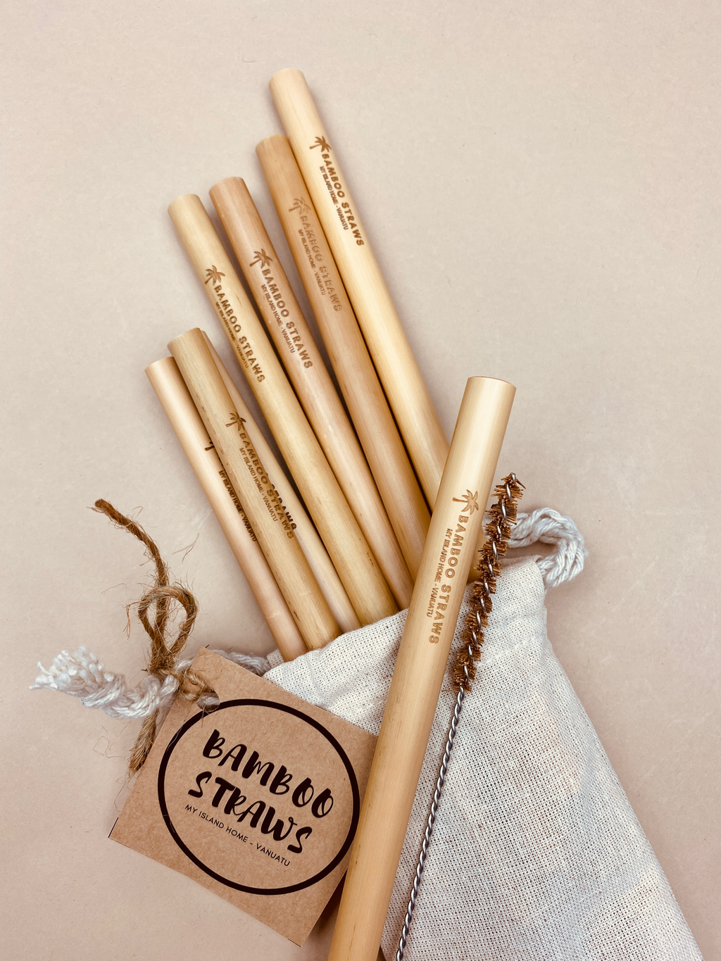 Bamboo Straws | Set of 10