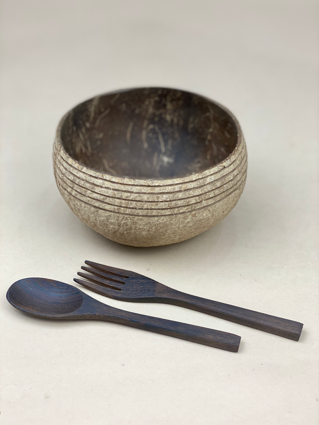 PACIFICA / JUMBO COCONUT BOWLS (1)