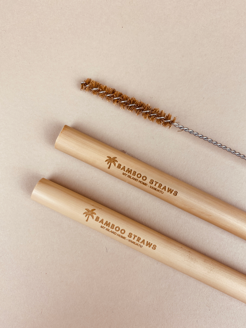 Bamboo Straws - set of 2