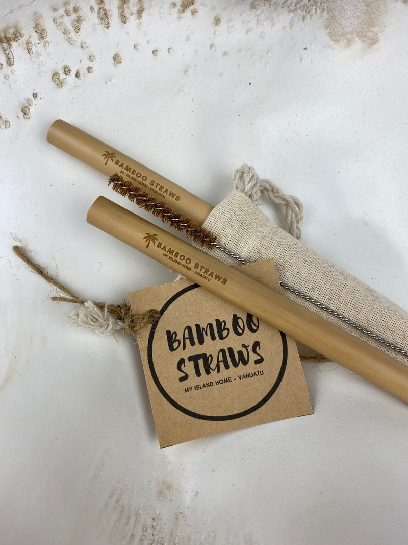 Bamboo Straws - set of 2