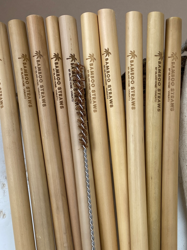 Bamboo Straws | Set of 10