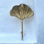 Brass Clam Shell | Wall Hook - MY ISLAND COLLECTIVE