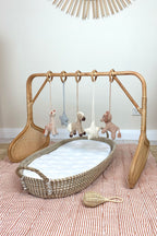 Coco Rattan Play Gym