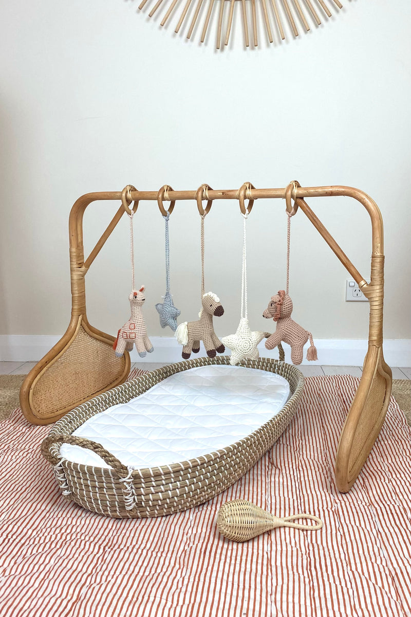 Coco Rattan Play Gym – MY ISLAND COLLECTIVE
