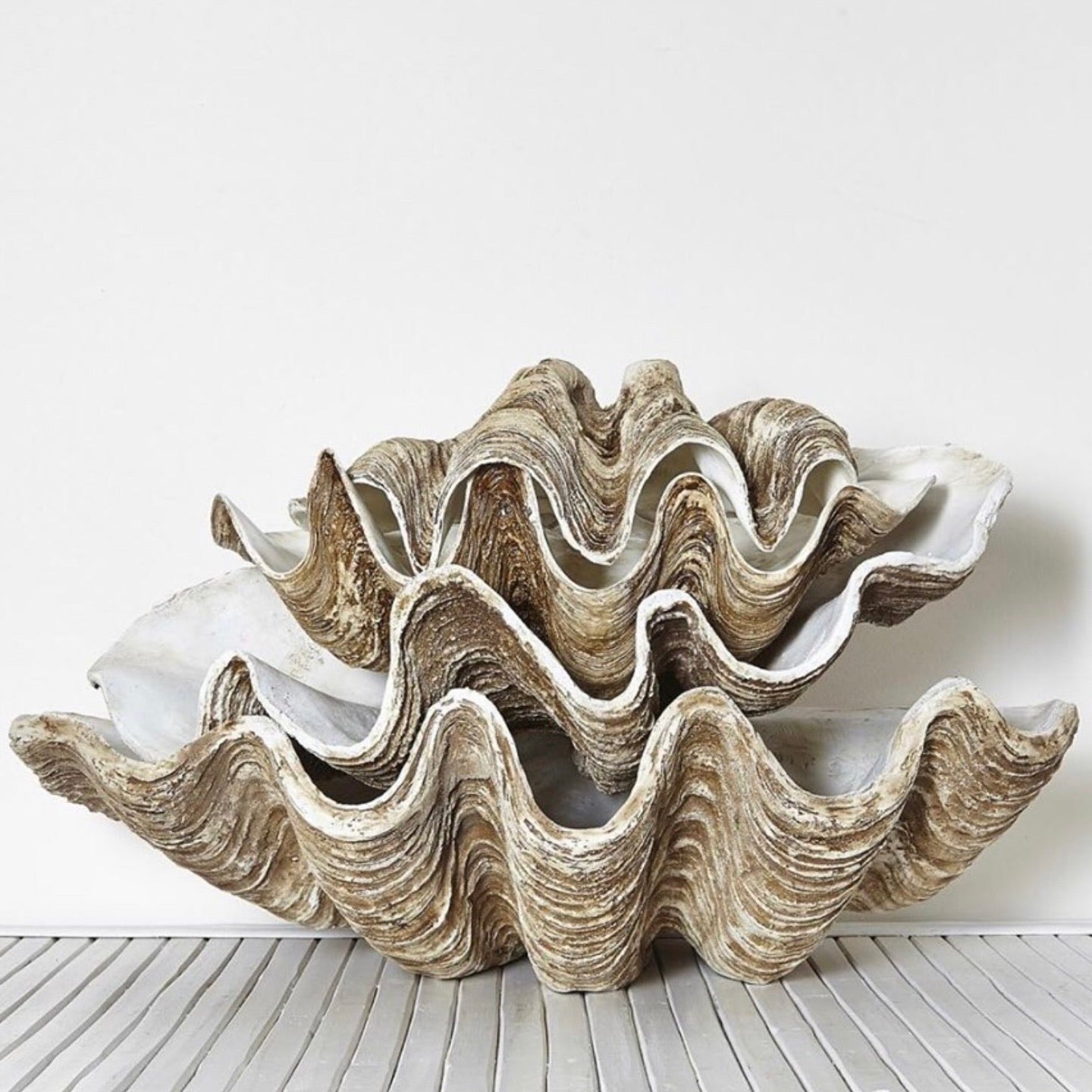 Vintage Clam Shells – MY ISLAND COLLECTIVE