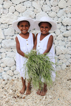 Lucia Dress - White - MY ISLAND COLLECTIVE
