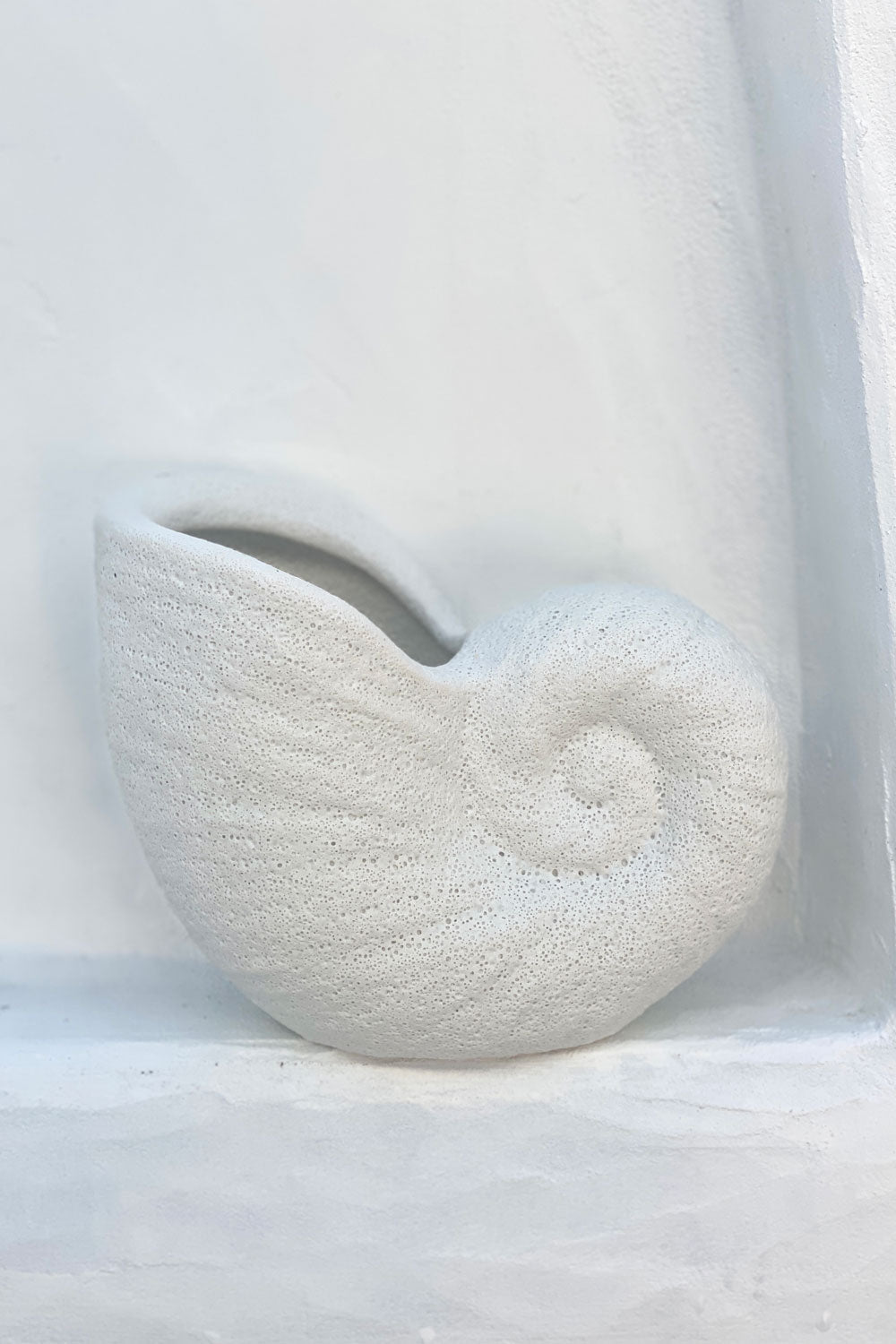 Nautilus Ceramic Planter - White - MY ISLAND COLLECTIVE