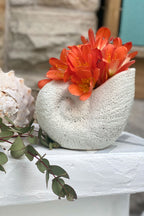Nautilus Ceramic Planter - White - MY ISLAND COLLECTIVE