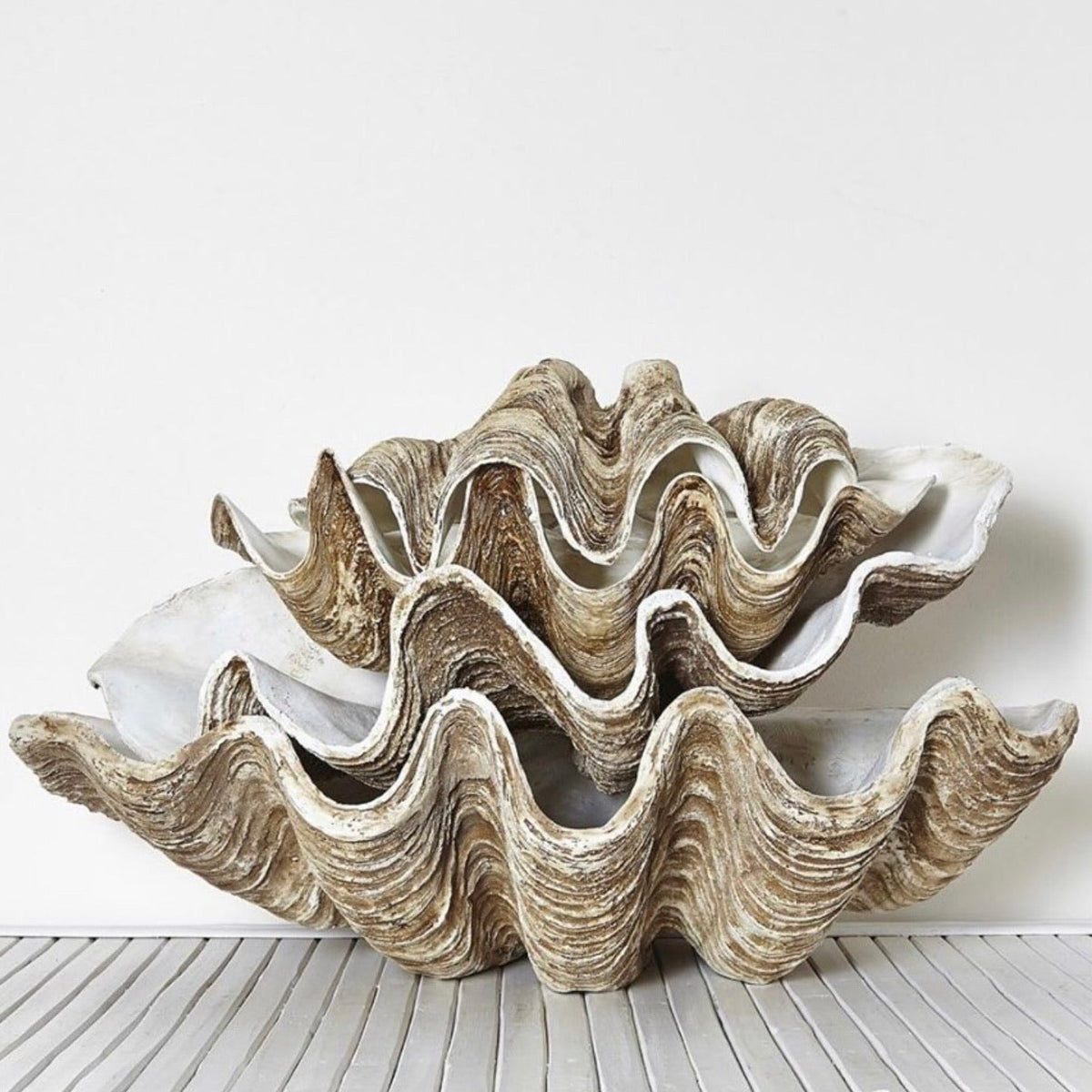 Vintage Clam Shells - MY ISLAND COLLECTIVE