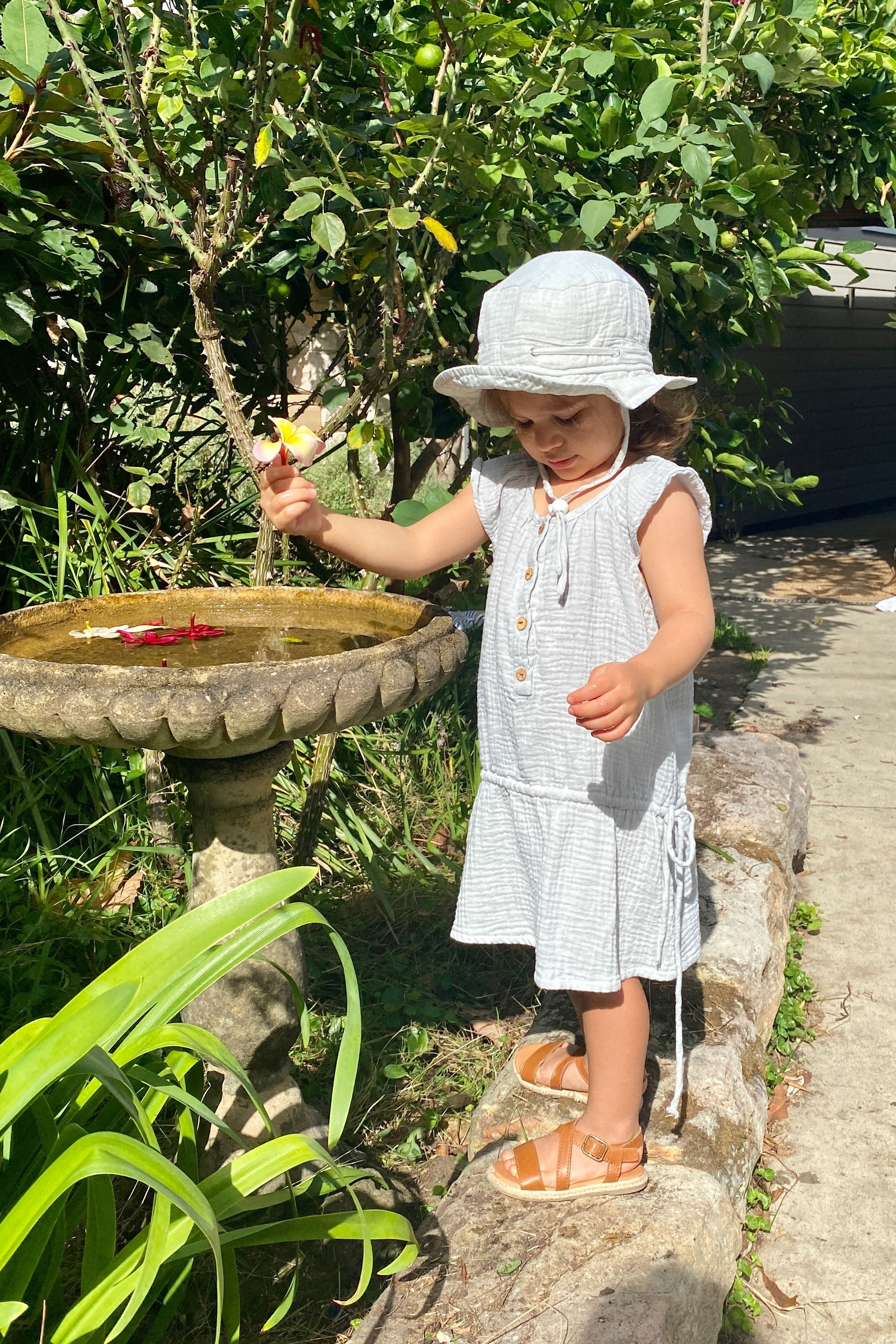 Viola Dress - Sage - MY ISLAND COLLECTIVE