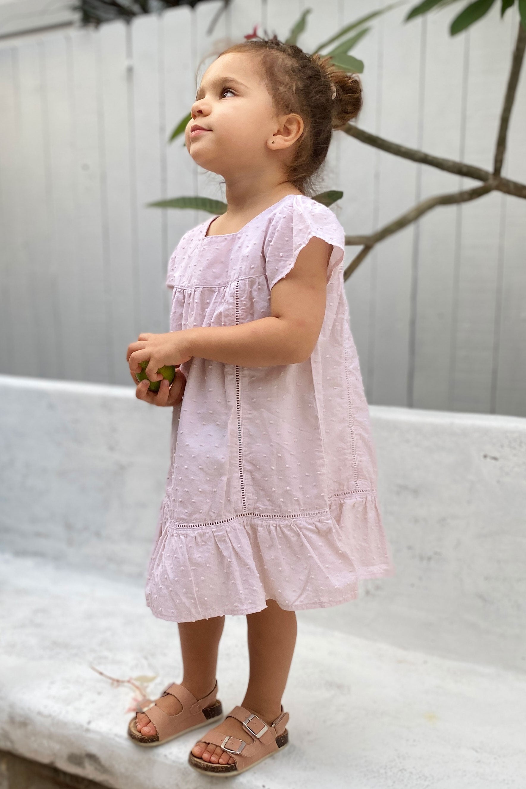 Alessia Lace Dress - Dusty Pink