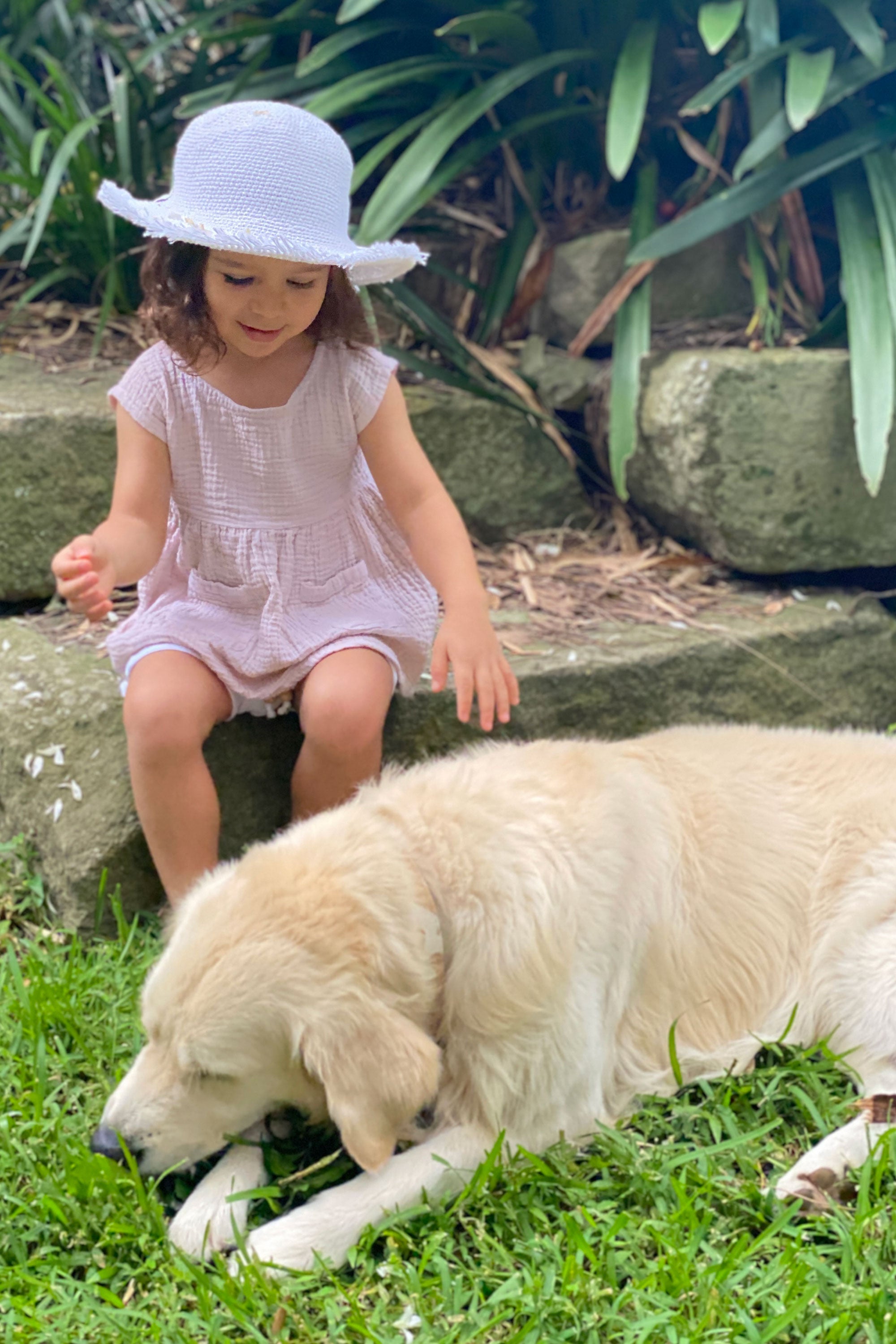 Isobella Dress & Top - Porcini