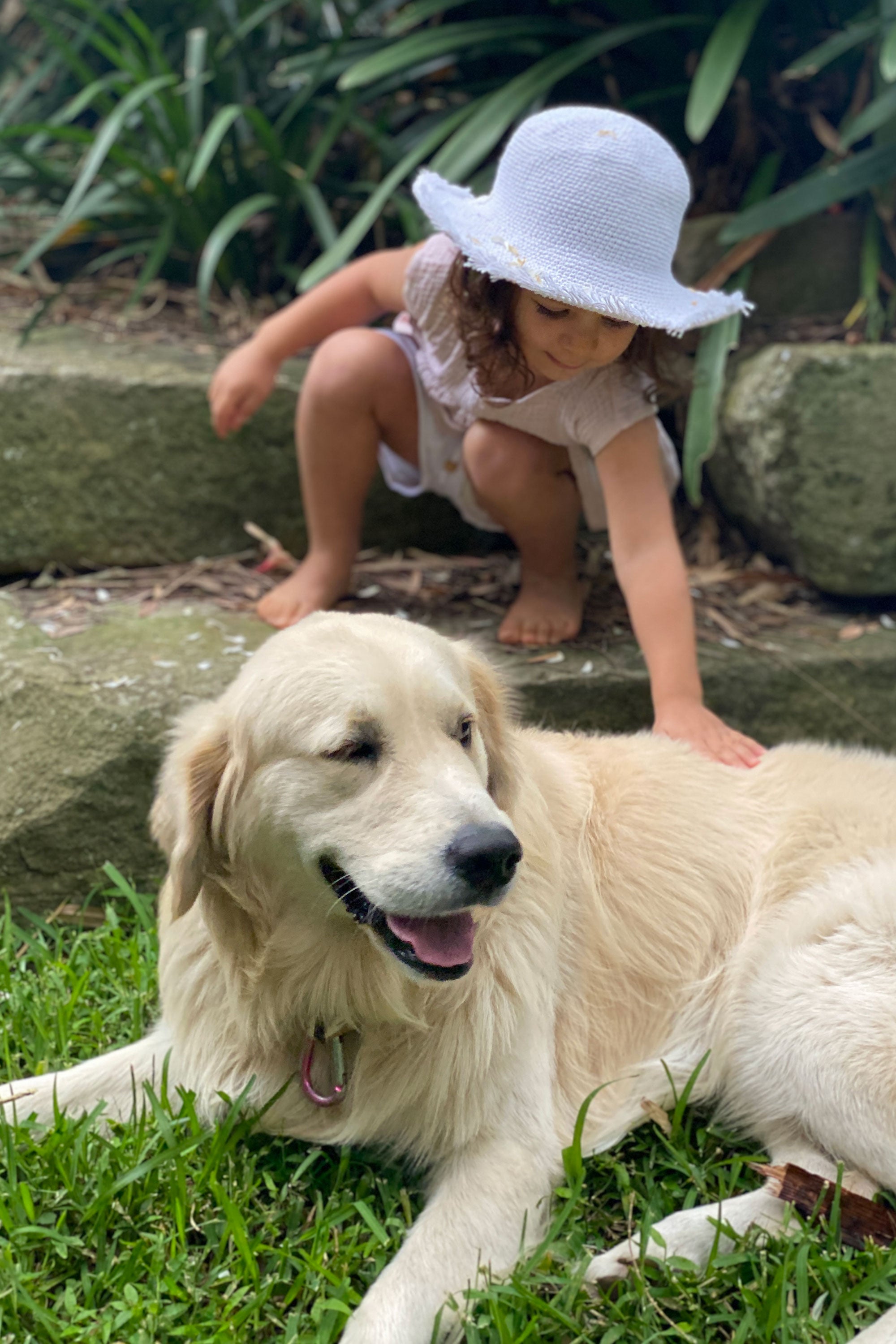 Isobella Dress & Top - Porcini